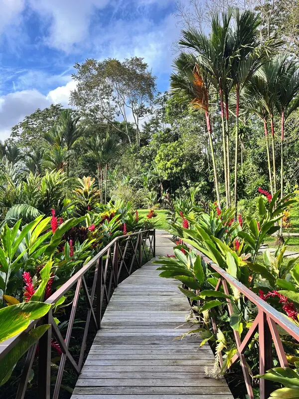Garden cabin of Natural Green Lodge on the outskirts of La Fortuna, a quieter budget base for Rio Celeste