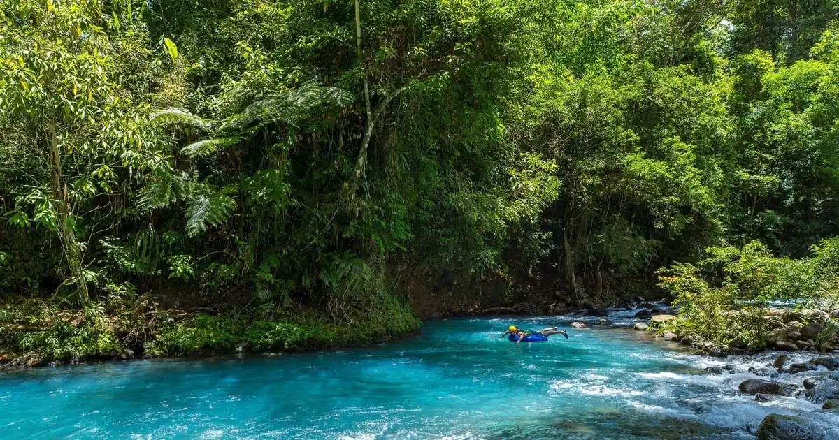 Self-guided rainforest trail boardwalk in Tenorio Volcano National Park reached with a Rio Celeste entrance ticket, Costa Rica