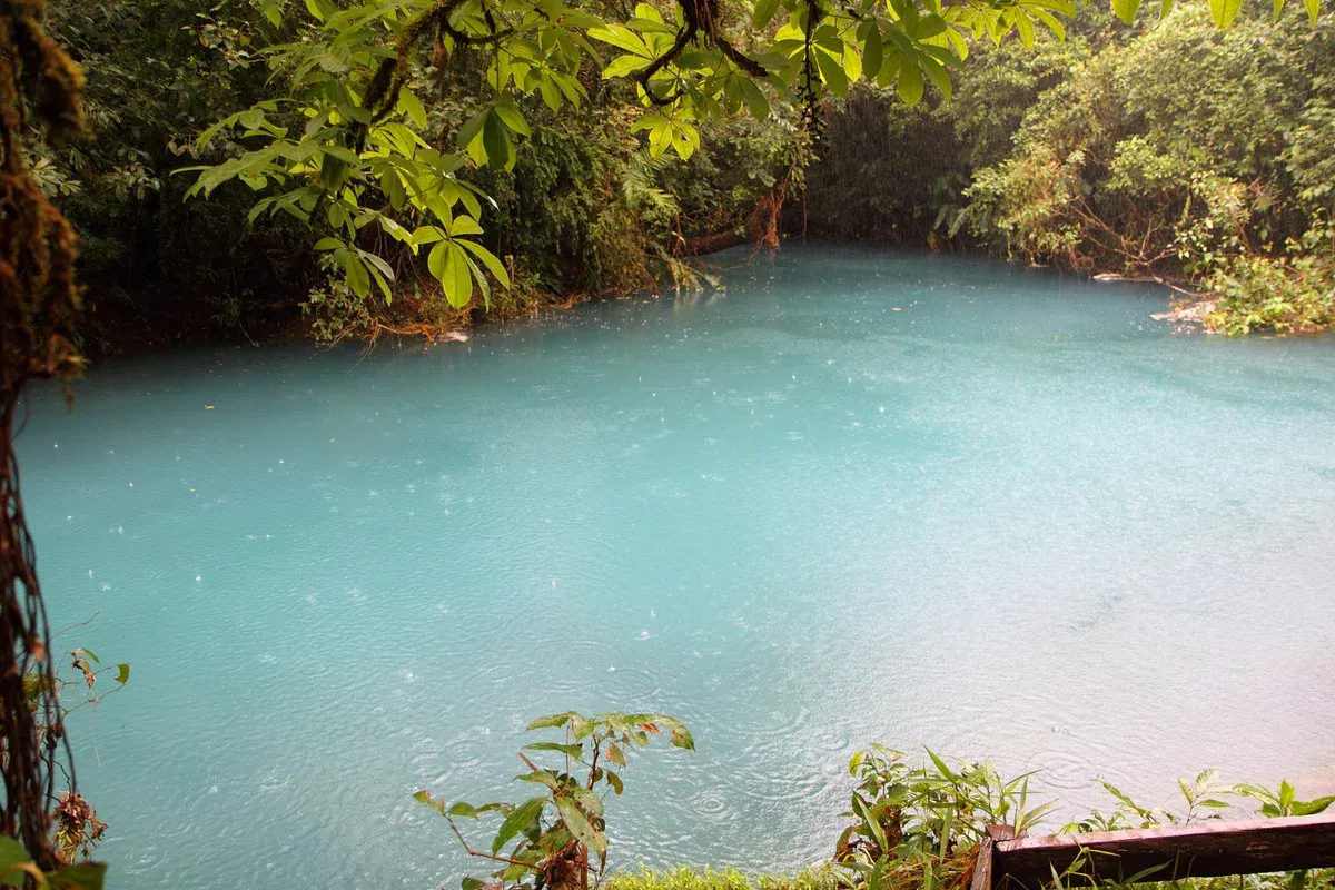 Turquoise Rio Celeste river running through rainforest on the Blue River Adventure hike, Costa Rica