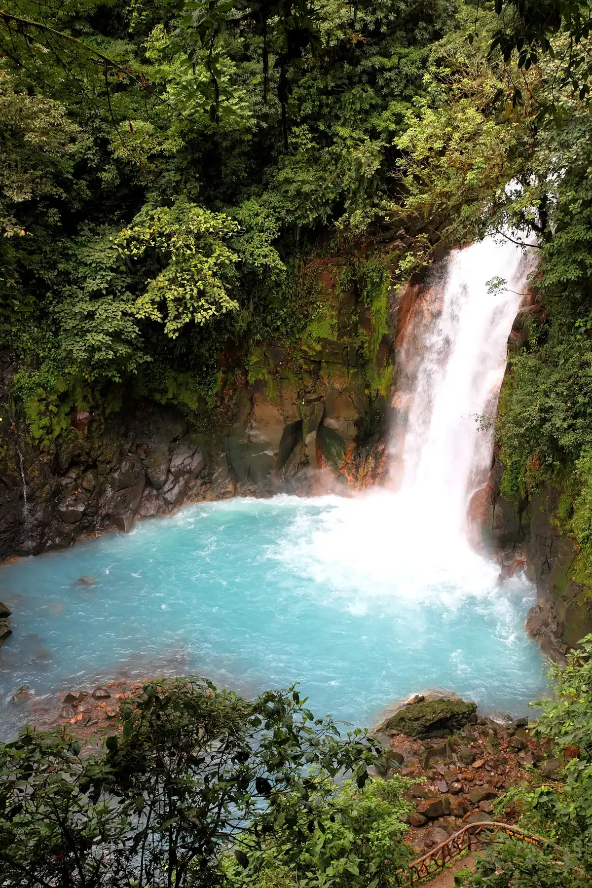 The Rio Celeste waterfall pouring into a chalky blue pool in Tenorio Volcano National Park on the full-day tour from La Fortuna, Costa Rica
