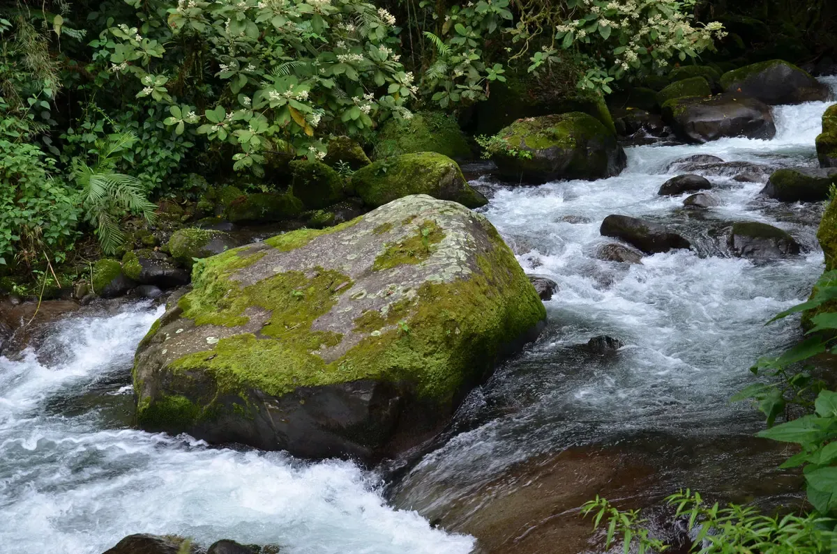 Opaque sky-blue Rio Celeste river curving through rainforest in Costa Rica