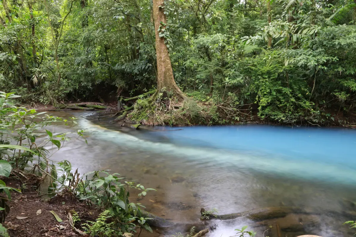 Mixing point of two streams creating the blue of the Rio Celeste in Costa Rica